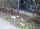 IMG_20130323_095219.jpg