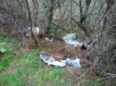 IMG_20130323_095941.jpg