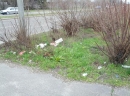 IMG_20130323_103934.jpg
