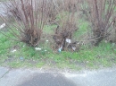 IMG_20130323_103940.jpg