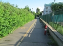 IMG_2599_0.jpg